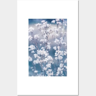 White Flowers With Blue and Grey Background Posters and Art